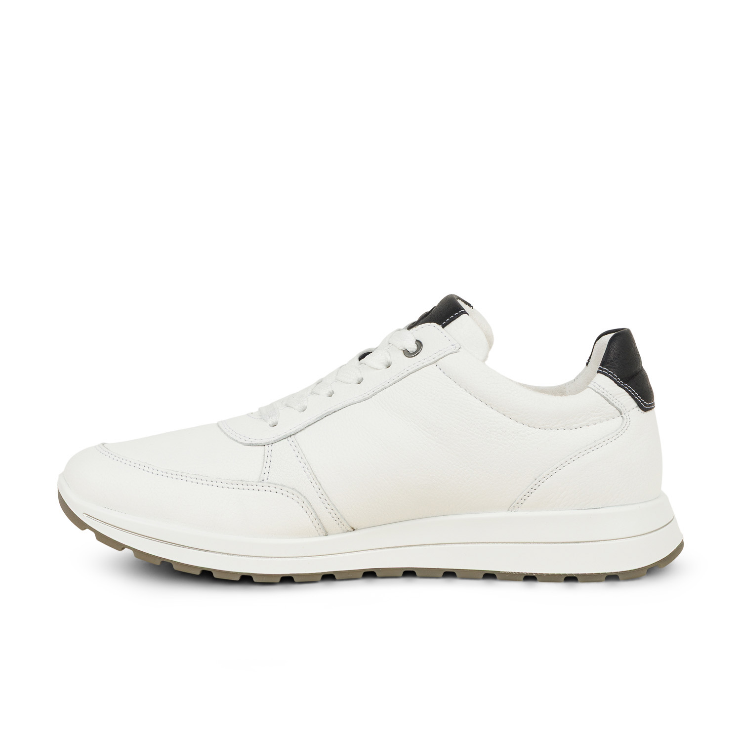 04 - ARABICA - ARA -  - Cuir