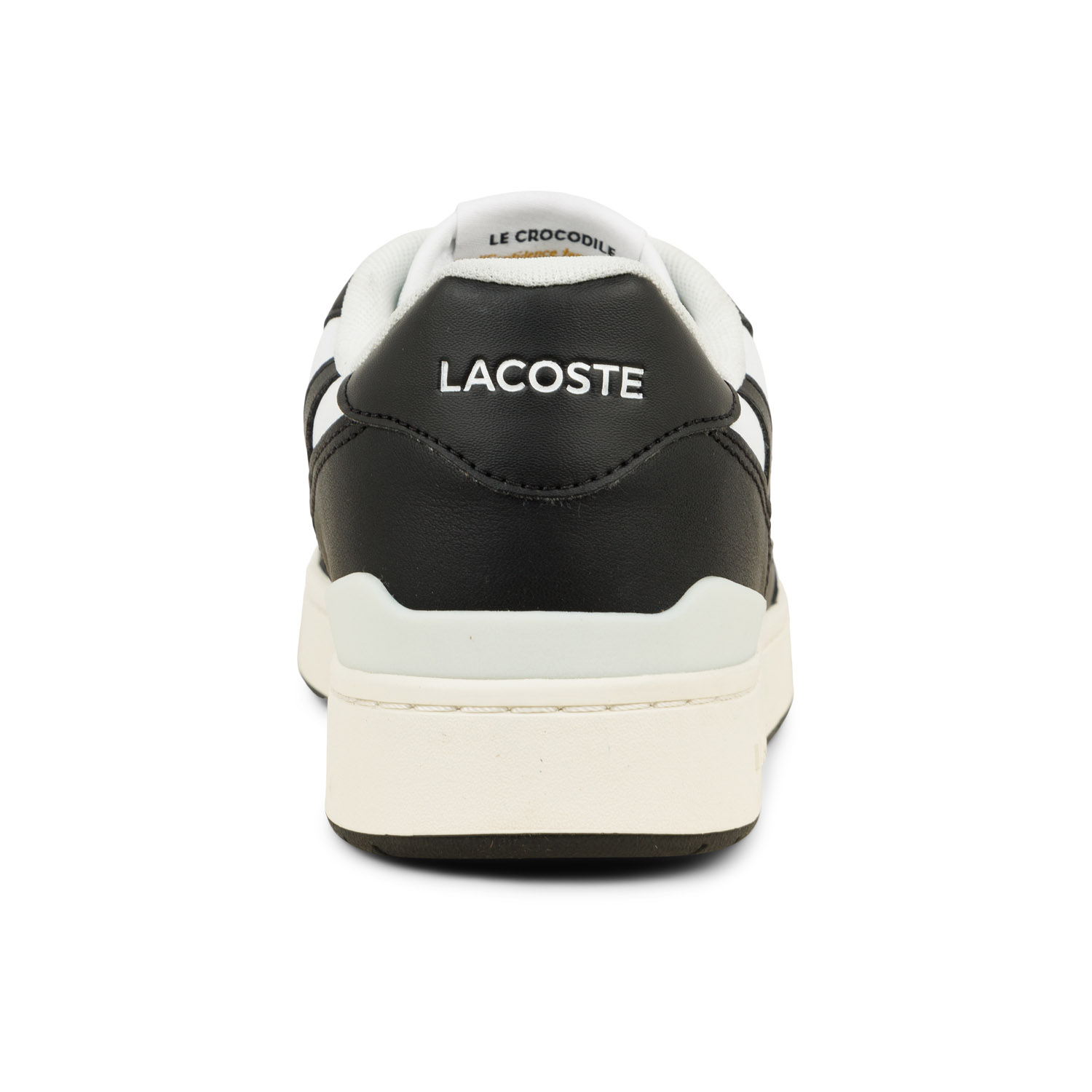 03 - T-CLIP  - LACOSTE -  - Cuir