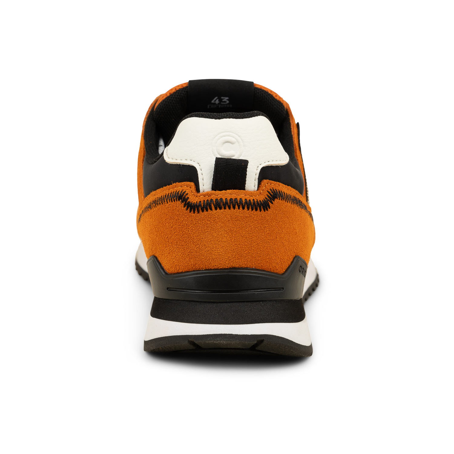 03 - TREVIS SPORT BOLD - COLMAR -  - Textile