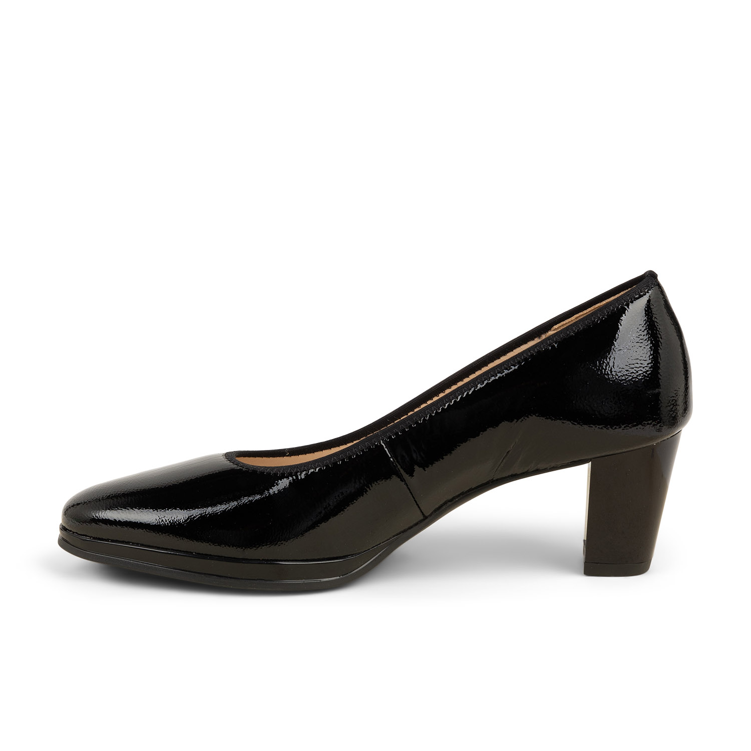 04 - ARAESCA  - ARA -  - Cuir verni