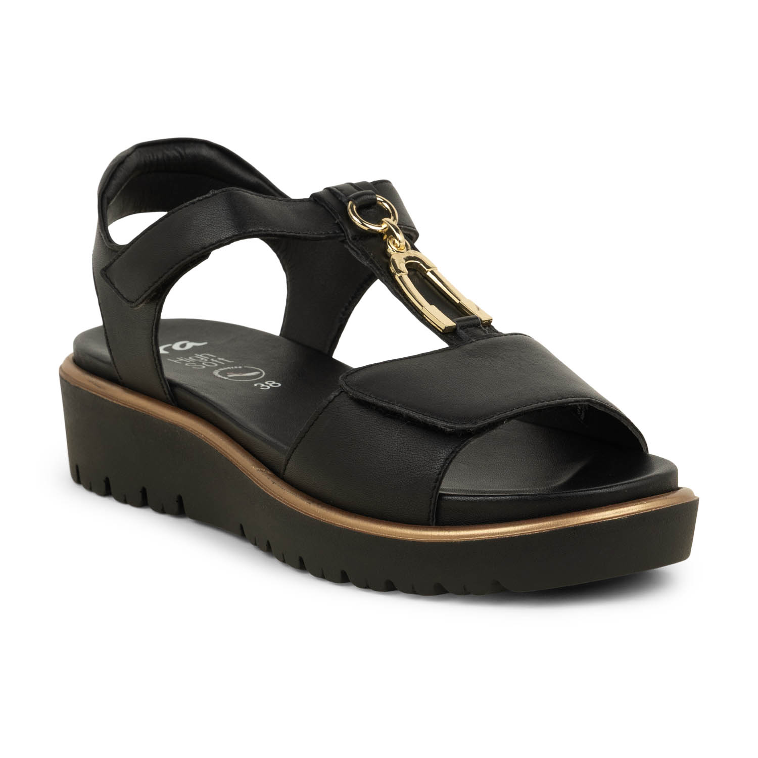 02 - ARASSI - ARA -  - Cuir