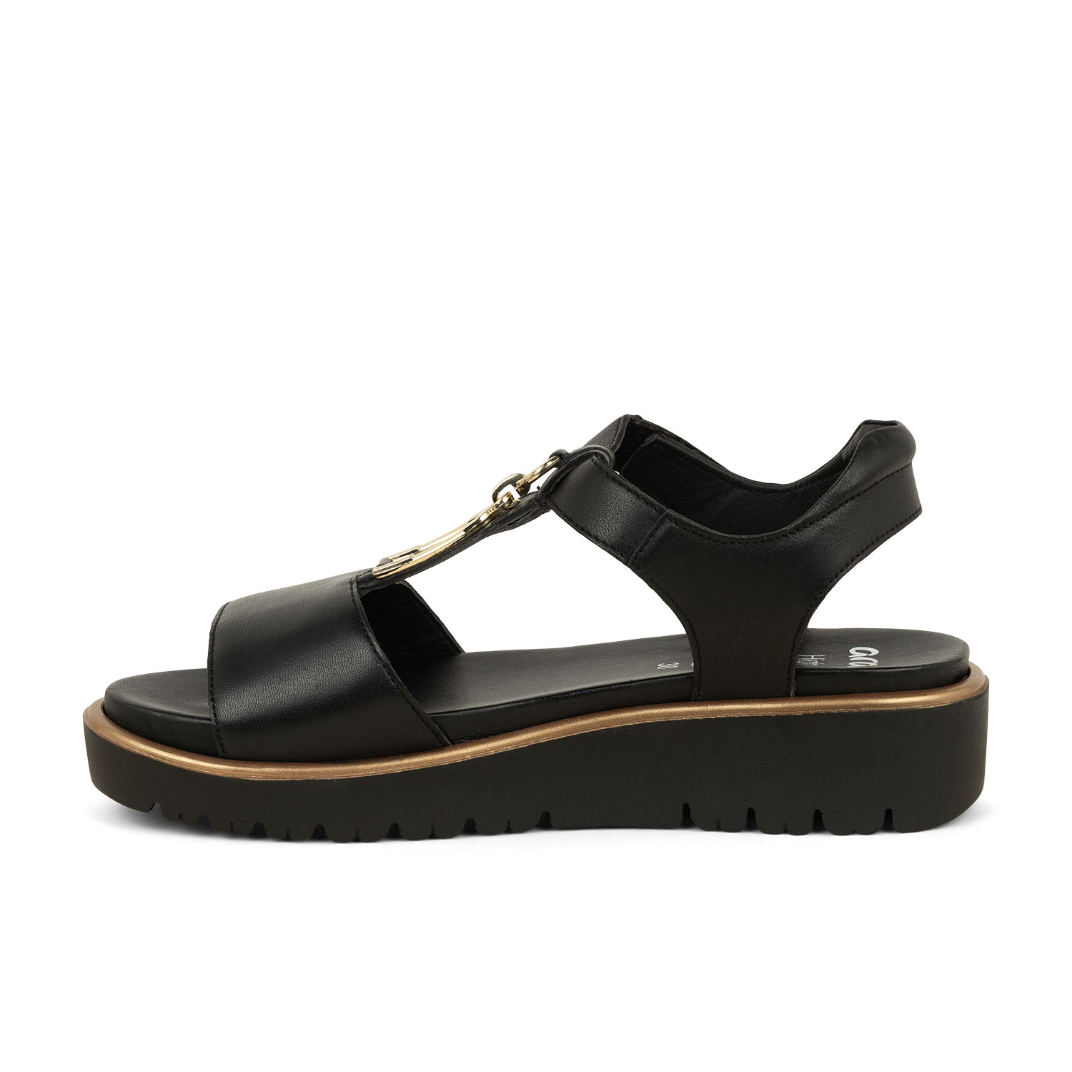 04 - ARASSI - ARA -  - Cuir
