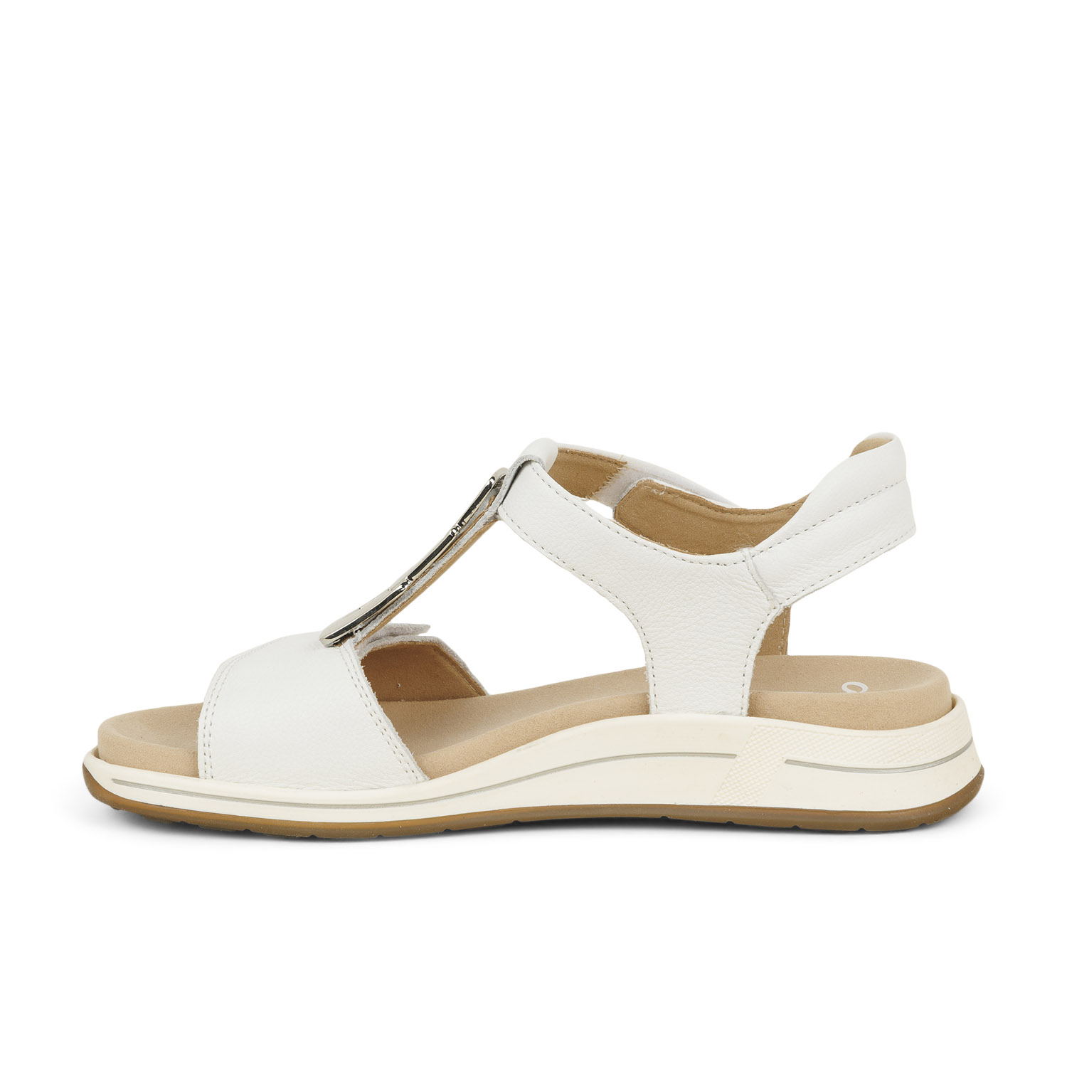 04 - ARAZALA - ARA -  - Cuir