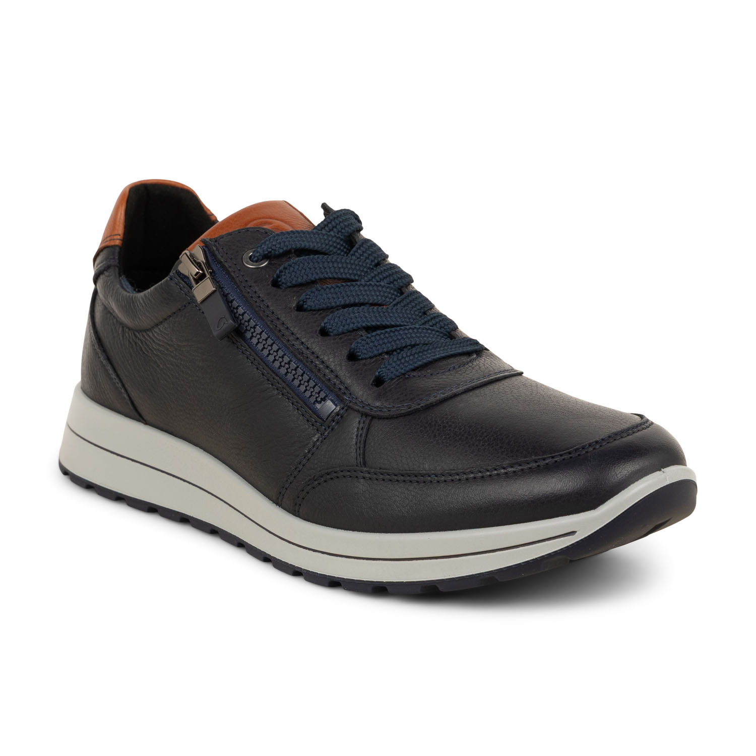 02 - ARANICE - ARA -  - Cuir