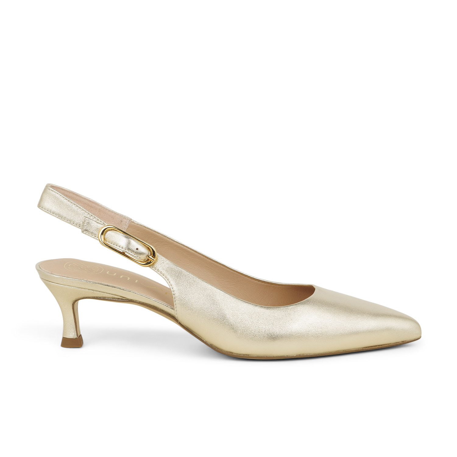 01 - IBON - UNISA -  - Cuir