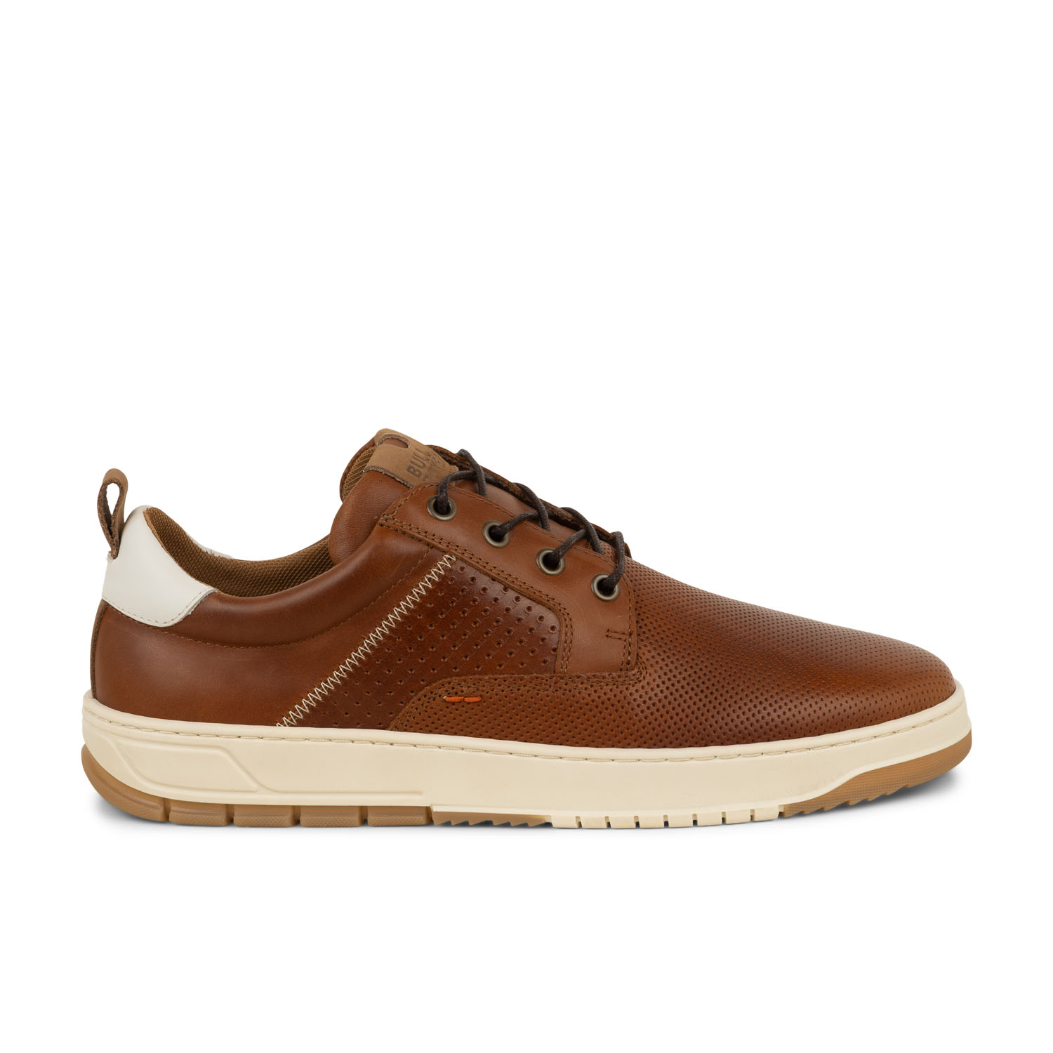 01 - BULLY - BULLBOXER -  - Cuir