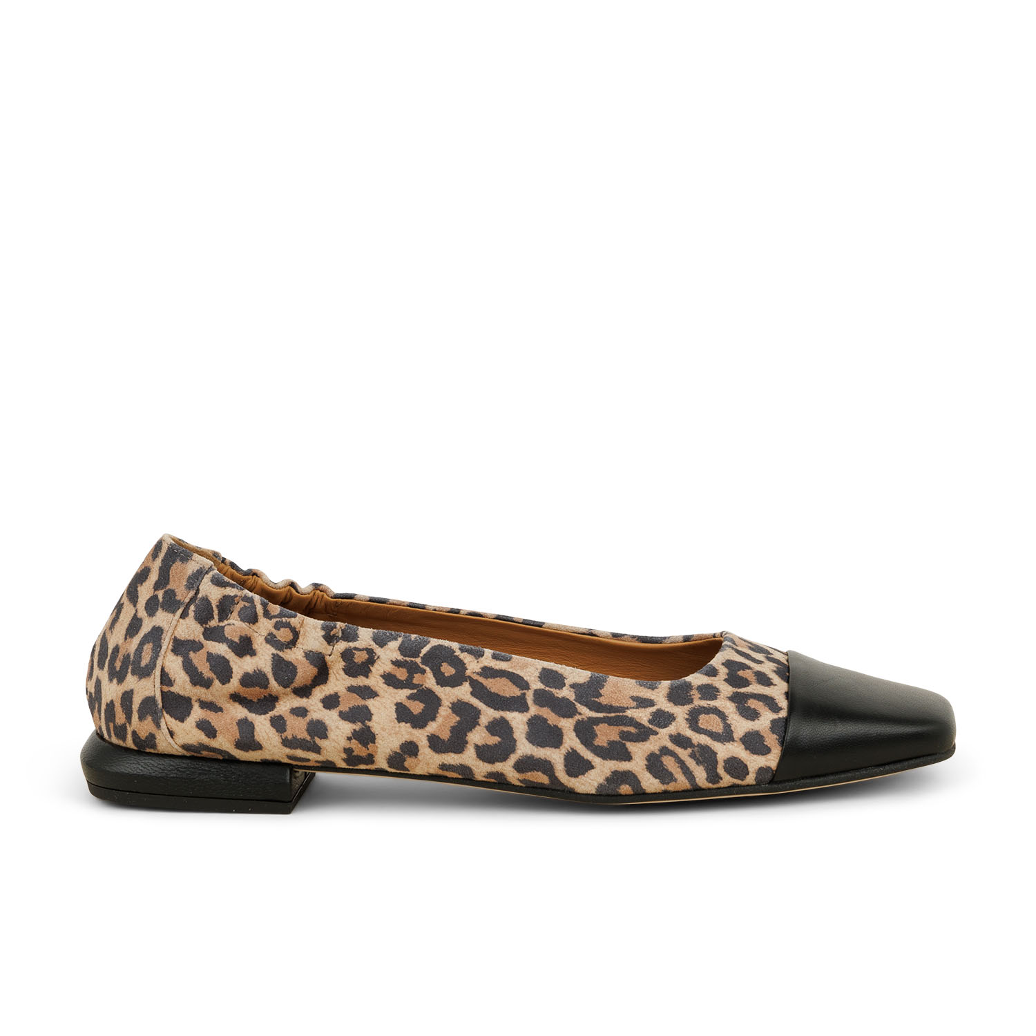 01 - TOPRAK 17576 - PEDRO MIRALLES -  - Cuir