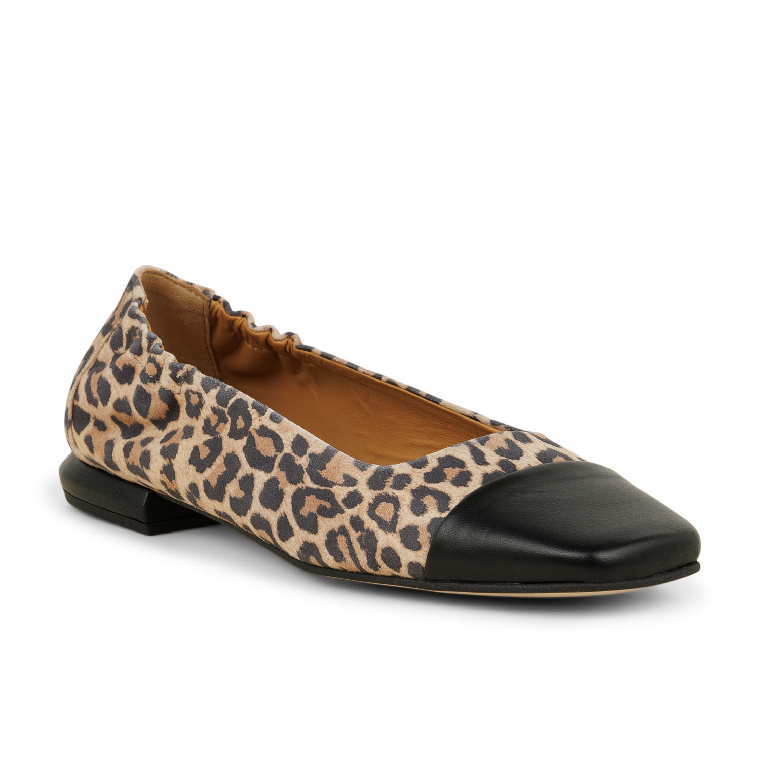 02 - TOPRAK 17576 - PEDRO MIRALLES -  - Cuir