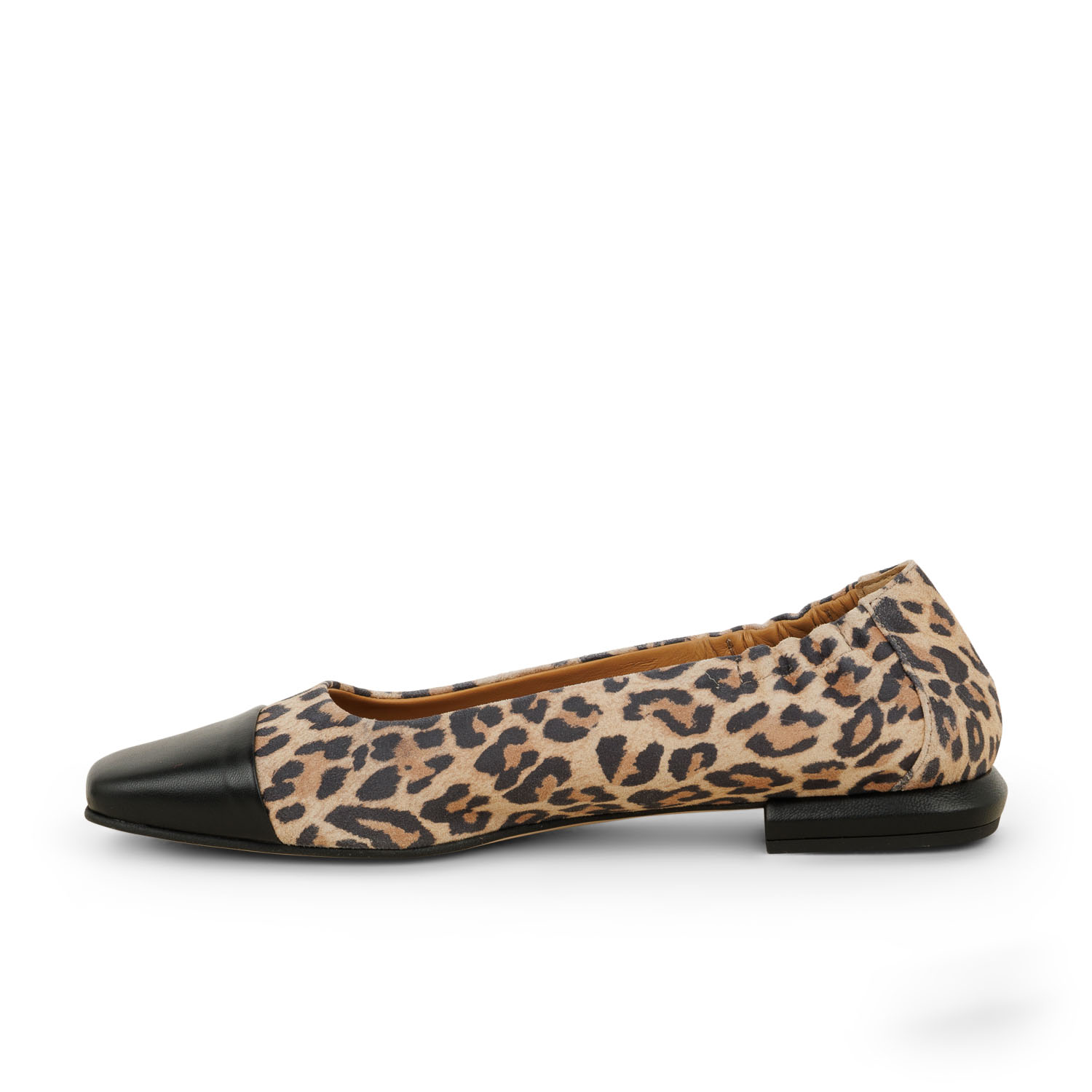 04 - TOPRAK 17576 - PEDRO MIRALLES -  - Cuir