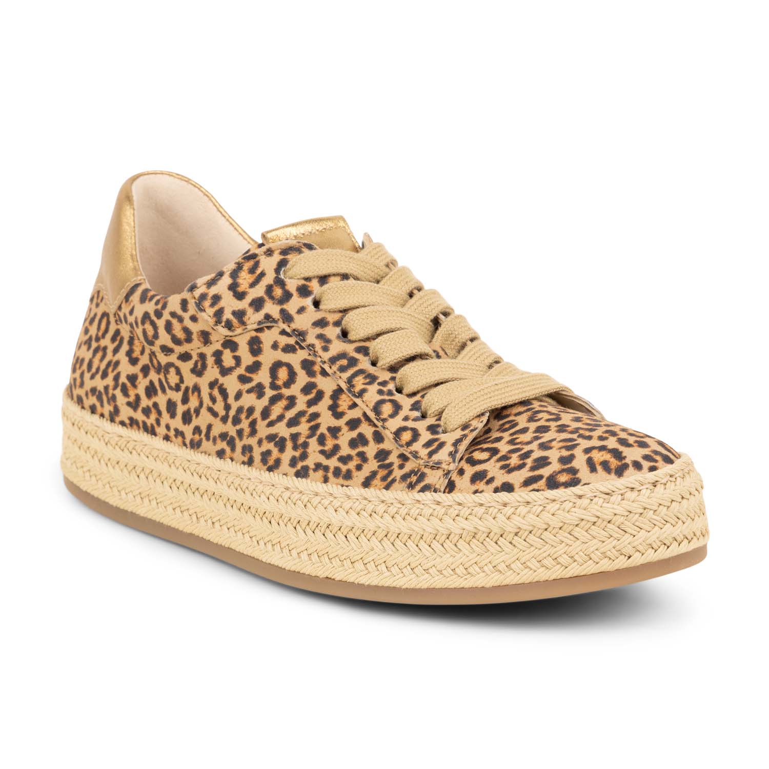 02 - GALEOPA - GABOR -  - Cuir