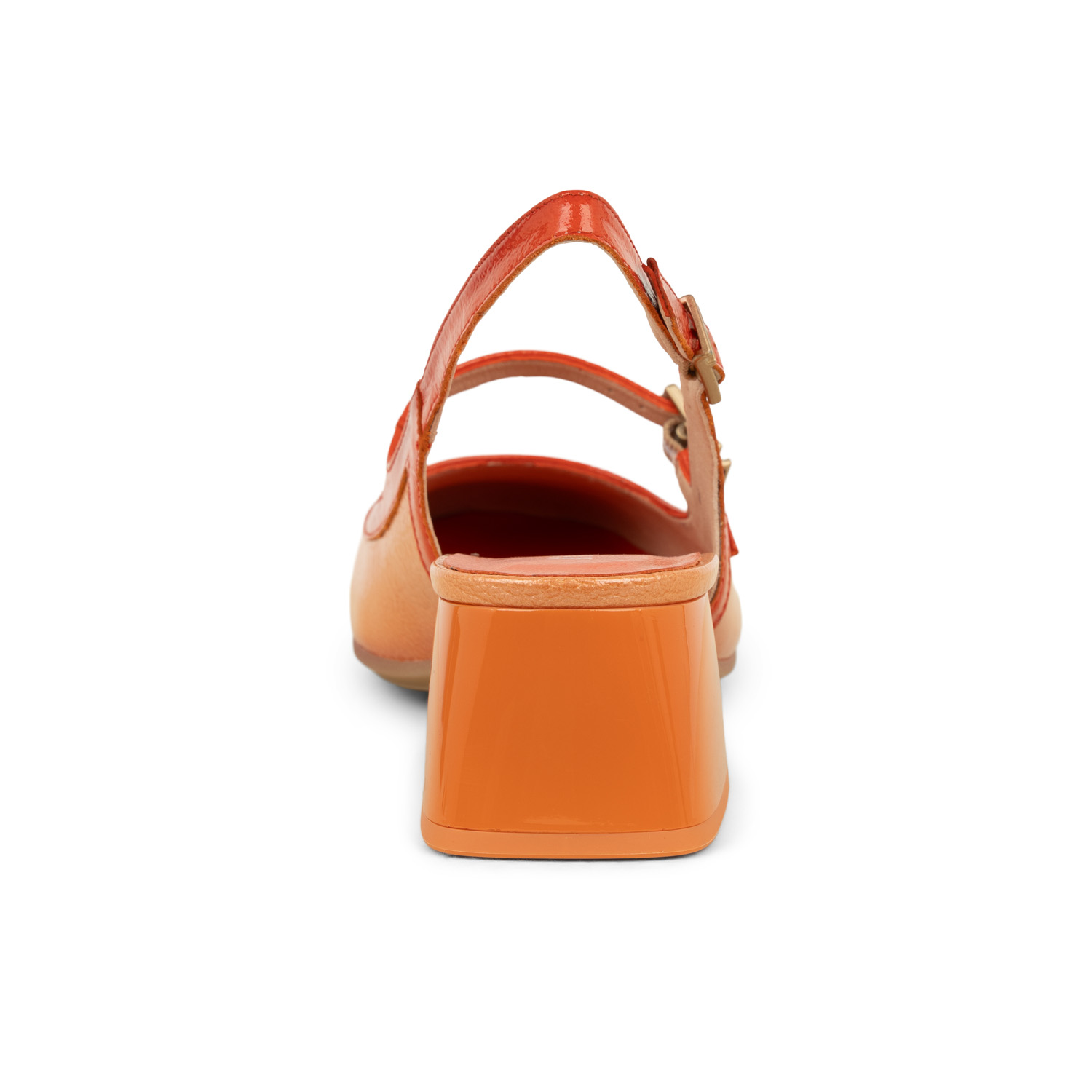 03 - HISYAT - HISPANITAS -  - Cuir