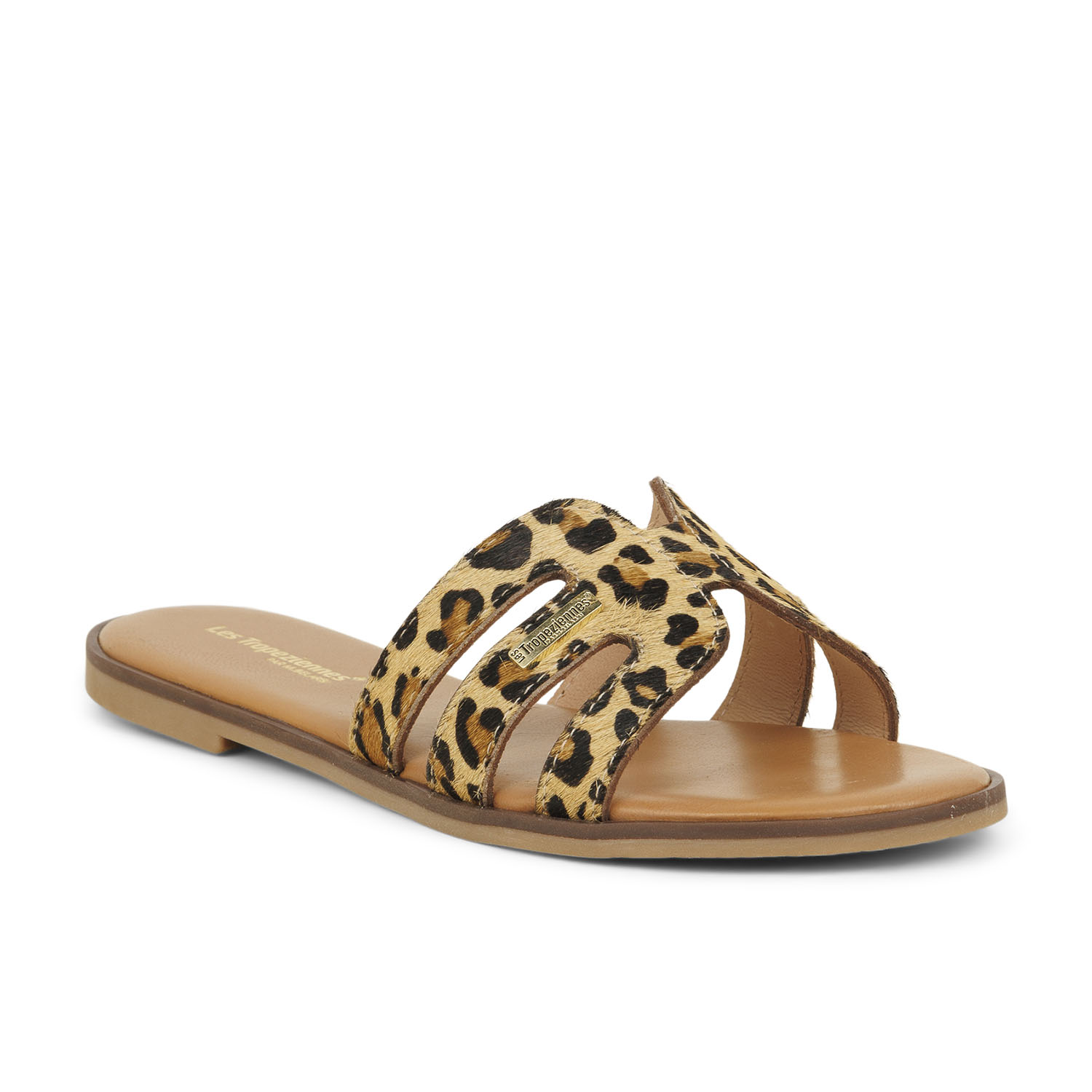 02 - HAMIGAPO - LES TROPEZIENNES -  - Cuir