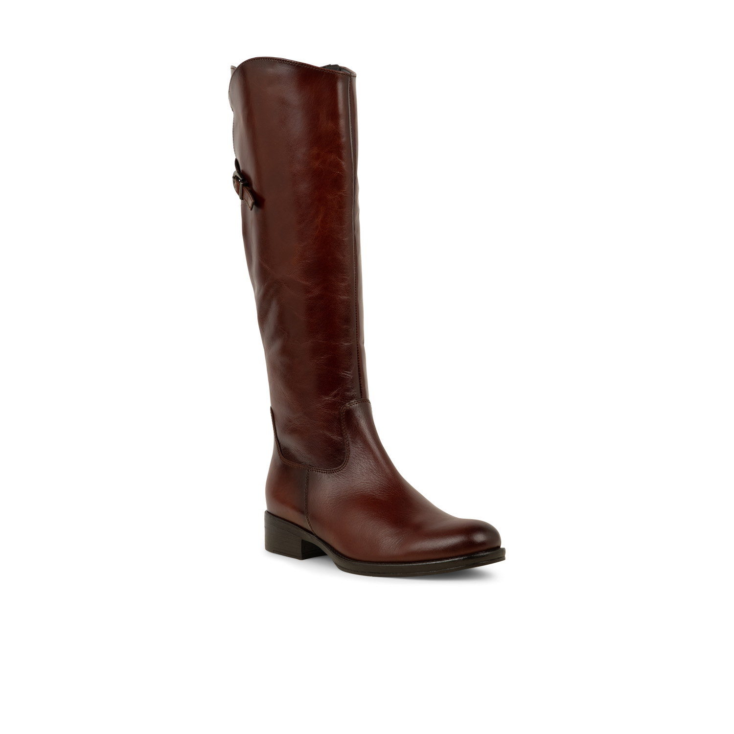 02 - GABOTTE - GABOR -  - Cuir