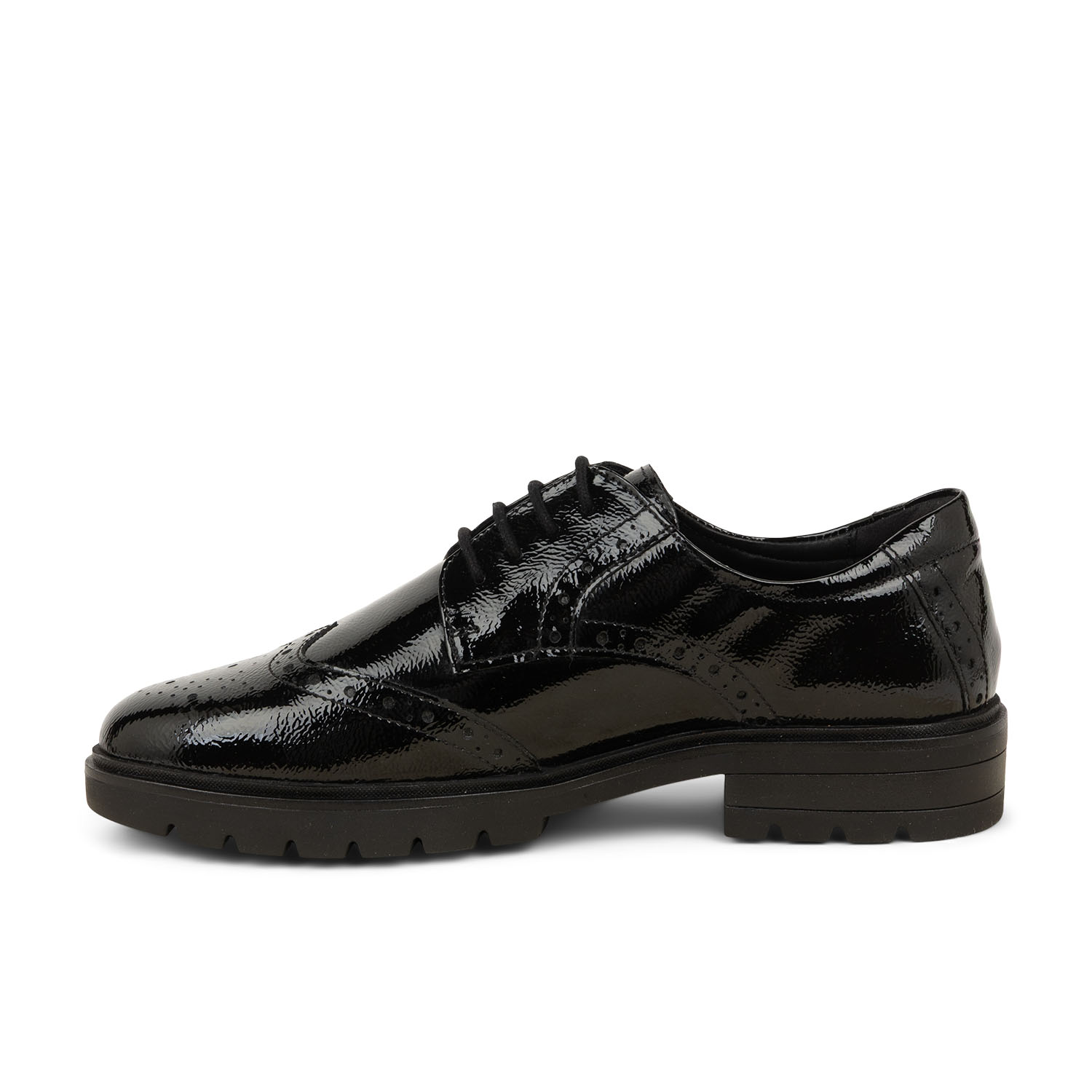 04 - ARACRISTI - ARA -  - Cuir verni