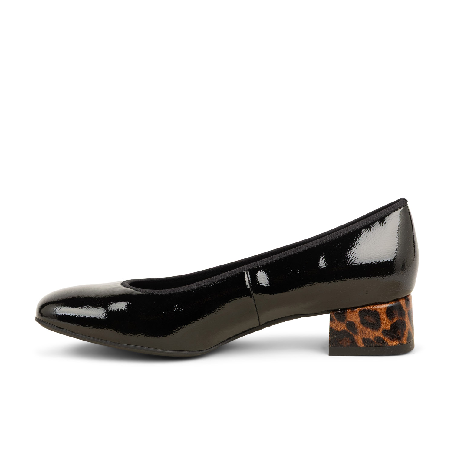 04 - ARANOE - ARA -  - Cuir verni