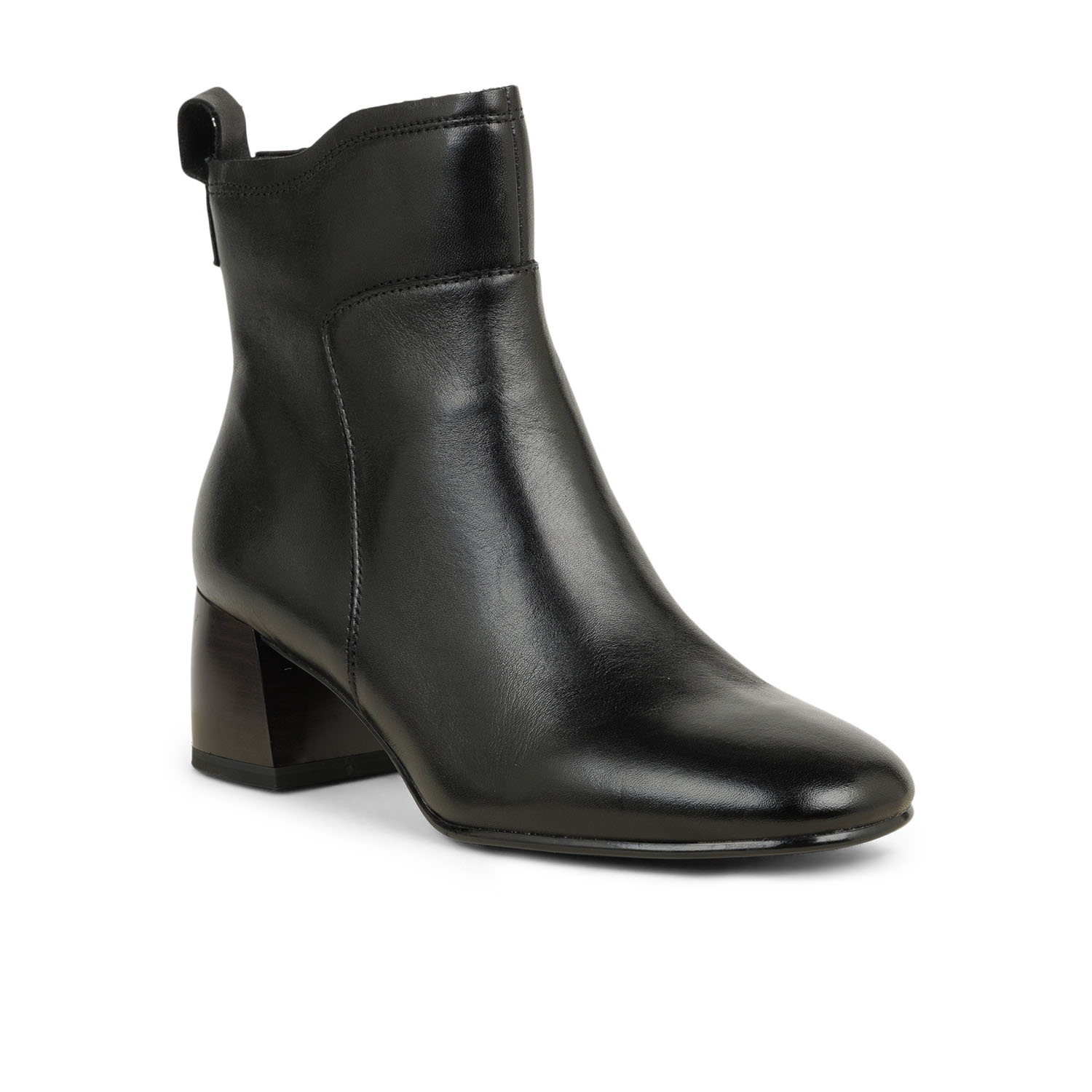 02 - TABENI - TAMARIS  -  - Cuir