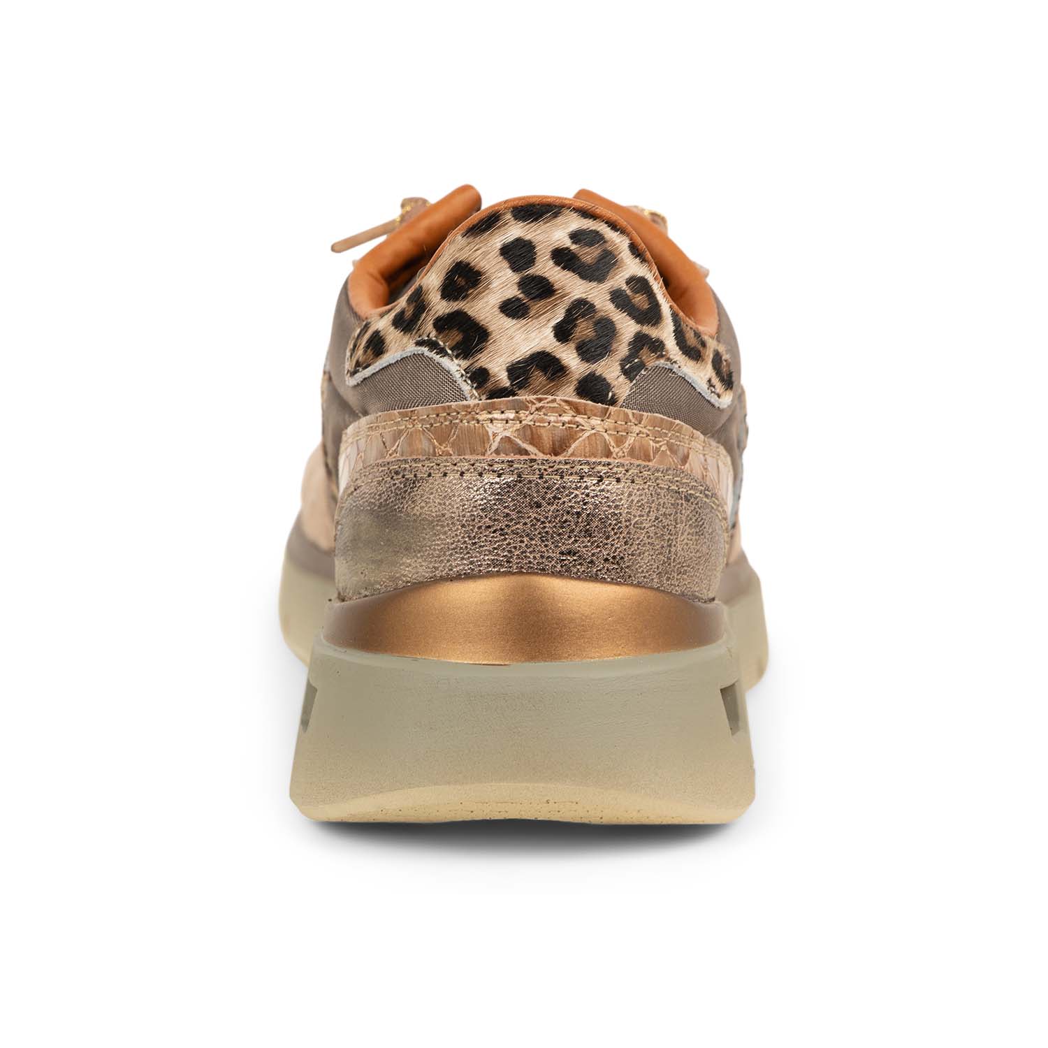 03 - CELI C1259SRAXL - CETTI -  - Nubuck