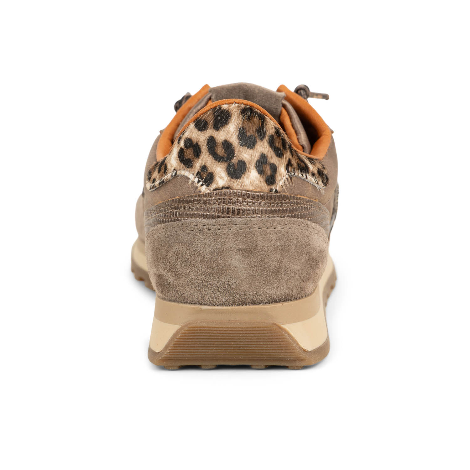 03 - CETOILE C1259SRA - CETTI -  - Nubuck