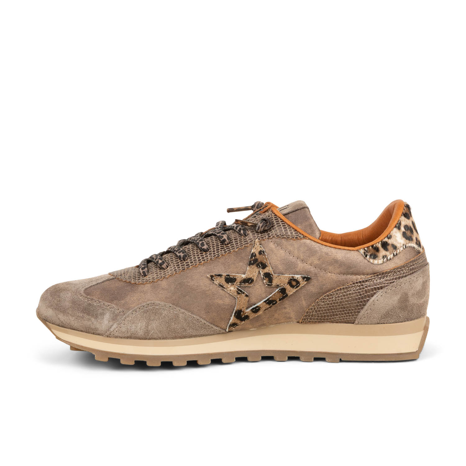 04 - CETOILE C1259SRA - CETTI -  - Nubuck