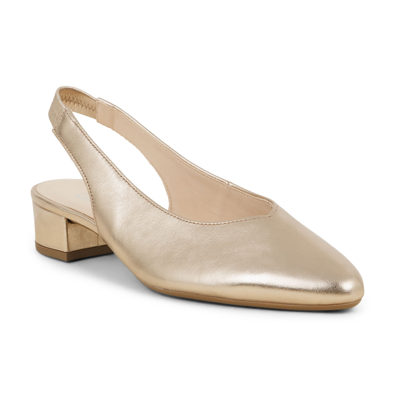 02 - GALICIE - GABOR -  - Cuir