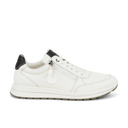 01 - ARABICA - ARA -  - Cuir