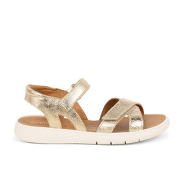 01 - EVI - BELLAMY -  - Cuir