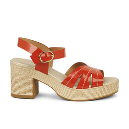 01 - MYMO - MYMA -  - Cuir verni