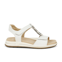 01 - ARAZALA - ARA -  - Cuir