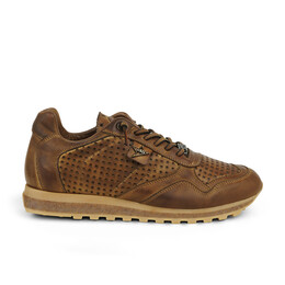 01 - C848 - CETTI -  - Cuir