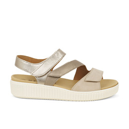 01 - GASCRATCH - GABOR -  - Cuir