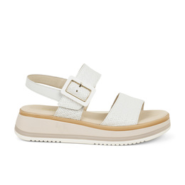 01 - GATOMI - GABOR -  - Cuir