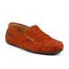 02 - CADOR -  -  - 
