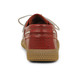 03 - GLOBEK - TBS -  - Cuir