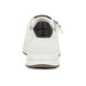 03 - ARABICA - ARA -  - Cuir