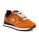 02 - TREVIS SPORT BOLD - COLMAR -  - Textile