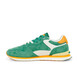 04 - VIRIDIS - HOFF -  - Cuir