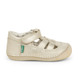 01 - SUSHY - KICKERS -  - Cuir
