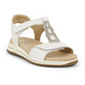 02 - ARAZALA - ARA -  - Cuir