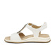 04 - ARAZALA - ARA -  - Cuir