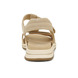03 - ARAZALA - ARA -  - Cuir
