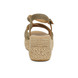 03 - DANAE - ALIWELL -  - Nubuck
