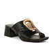 02 - HISCRIS - HISPANITAS -  - Cuir