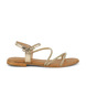01 - HOCTAVY - LES TROPEZIENNES -  - Cuir