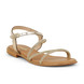02 - HOCTAVY - LES TROPEZIENNES -  - Cuir
