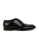 01 - BRISTOL 18601B - PANTANETTI -  - Cuir