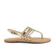 01 - DIPAM - LES TROPEZIENNES -  - Cuir