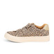 04 - SIMBAD - BOPY -  - Nubuck