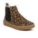 02 - ACELEOP - ACEBO'S -  - Croûte de cuir