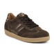 02 - GASUE - GABOR -  - Nubuck