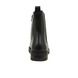 03 - ARANTA - ARA -  - Cuir